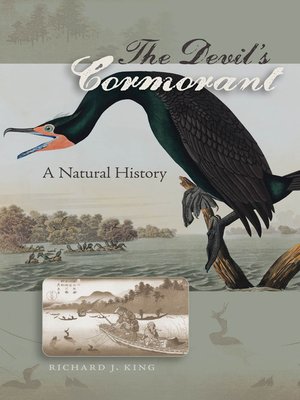 cover image of The Devil's Cormorant 